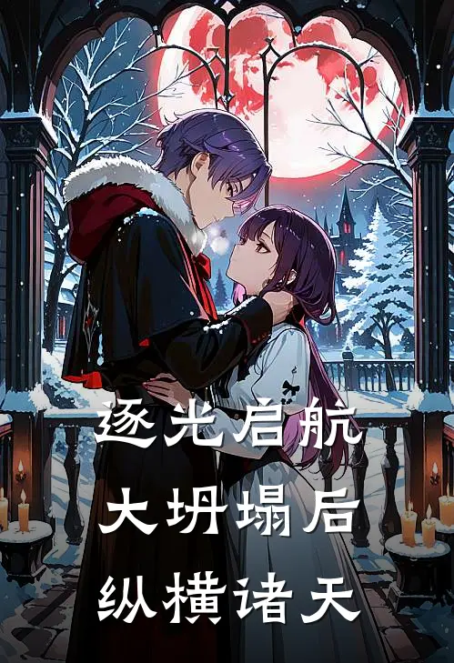 逐光启航：大坍塌后纵横诸天