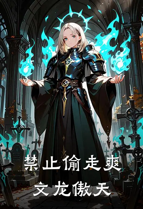 禁止偷走爽文龙傲天