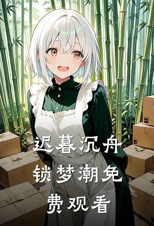 迟暮沉舟锁梦潮免费观看