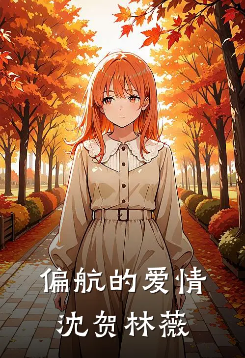偏航的爱情沈贺林薇